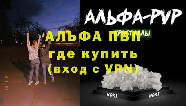 гидра Алзамай
