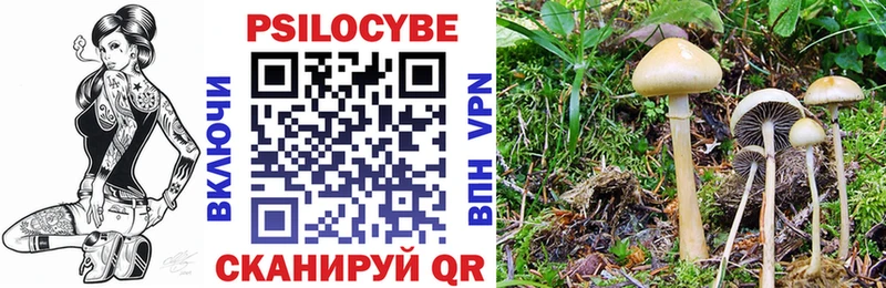 Псилоцибиновые грибы GOLDEN TEACHER  где купить наркотик  omg как зайти  Нюрба 